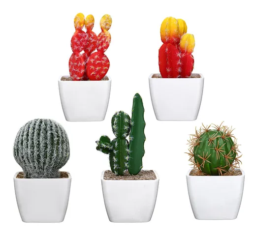 Simulazione di Cactus Bonsai e Simulazione di ornamenti di auto creative di piante grasse...