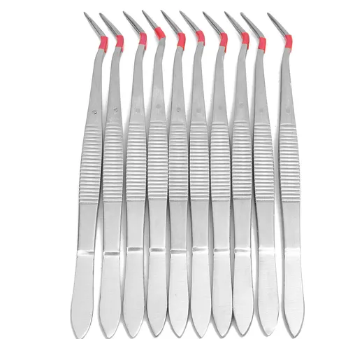 10pcs 6inch in acciaio inox Dental pinzette chirurgico Lab strumenti Odontoiatria utensili