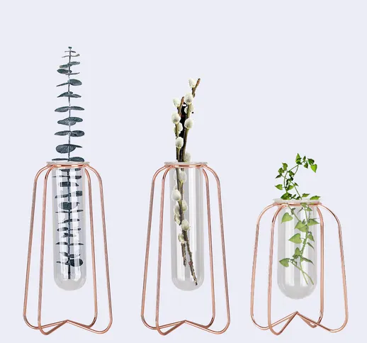 Vaso per provetta per fioriera in vetro Vaso + ferro retrò Stand Holder Decorazione piante...