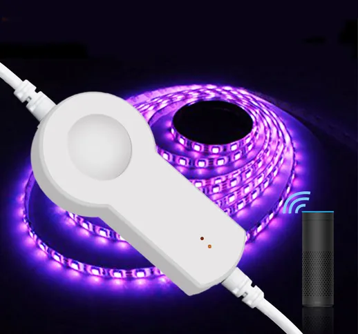 DC12V Smart controller Smart Pin LED per RGB Light Work con Amazon Alexa Echo Voice