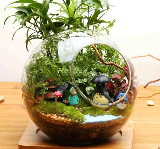Palla a forma di fai da te muschio micro paesaggio bottiglia di vetro doppi fori piante gr...