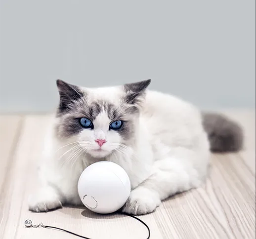 HomeRun Giocattoli interattivi intelligenti per animali domestici Giocattoli automatici a...