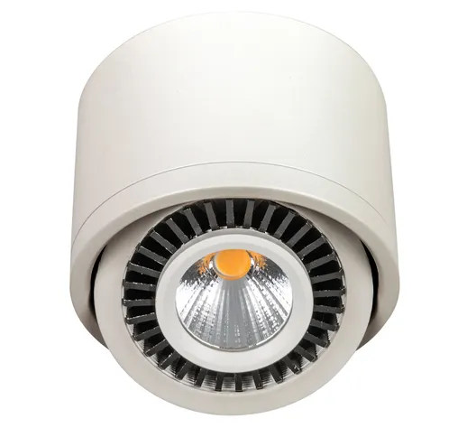 Proiettore LED bianco, orientabile 90°