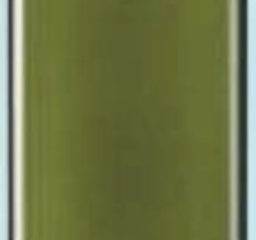 BRICOIO Bottiglia In Vetro Per Olio, Capacità 750 Ml, Senza Tappo