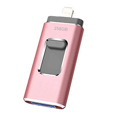 maxineer Chiavetta USB 256GB compatible avec Phone Pendrive Memoria USB Photo Stick Flash...