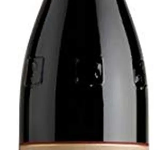 Confezione da 12 Bottiglie 0,375L. Vino Rosso Amarone della Valpolicella DOCG Classico ZEN...