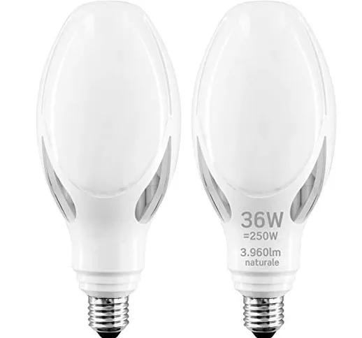 2x Lampadine LED E27 36W Professionali Garanzia 5 anni Opaca (3960 lumen equivalenti a 250...