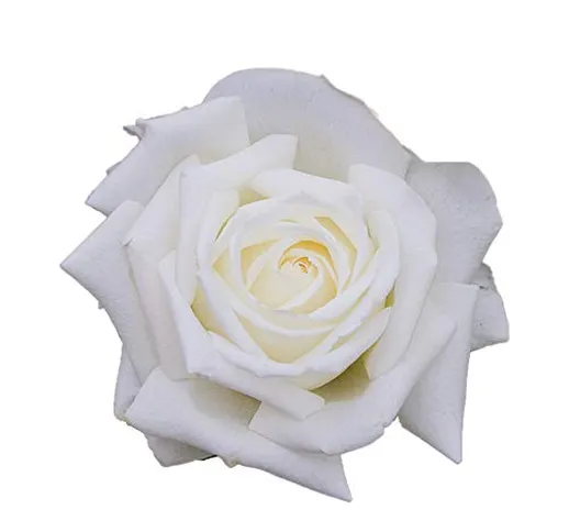 Papa Giovanni Paolo II®, Rose Barni®, rosa dal colore bianco puro e dal profumo agrumato,...