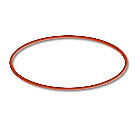 SunSun Pezzo di Ricambio: O-Ring per Filtro Esterno per acquari HW-603B