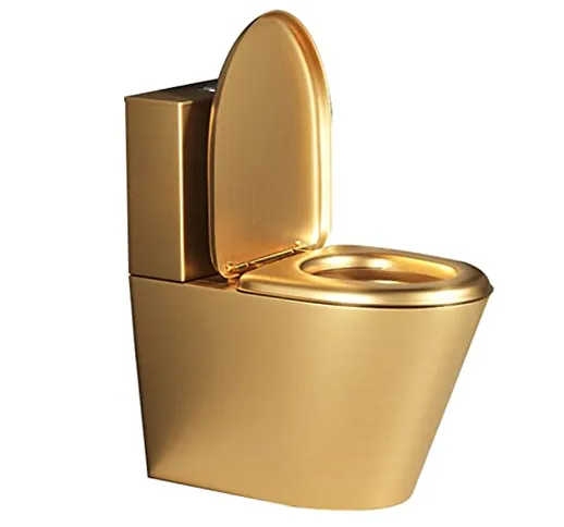 Toilette professionale in acciaio inox 304 Toilette a doppio scarico per bagno,sifone Scia...