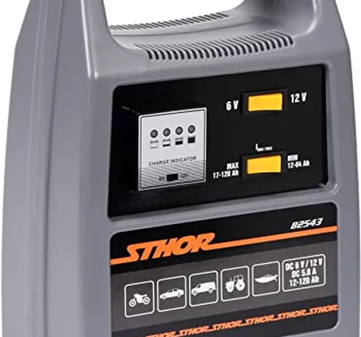 STHOR - Caricatore Professionale per Batteria da Auto, 6-12 Volt, 8 A, 12-120 Ah, indicato...