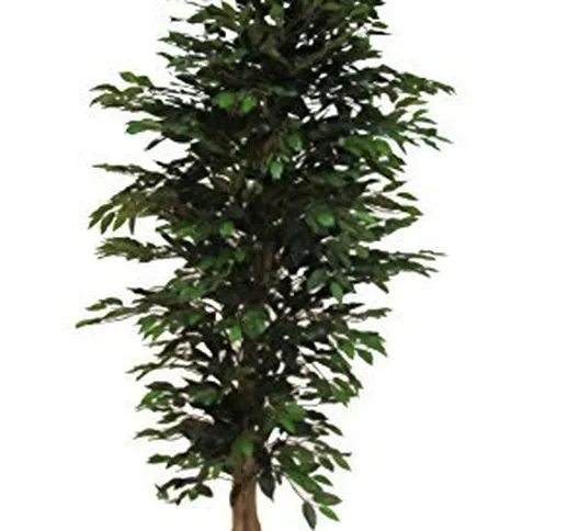 Verdevip Ficus Benjamin Verde - Albero Artificiale da Arredo Interno con Tronco Vero - Alt...