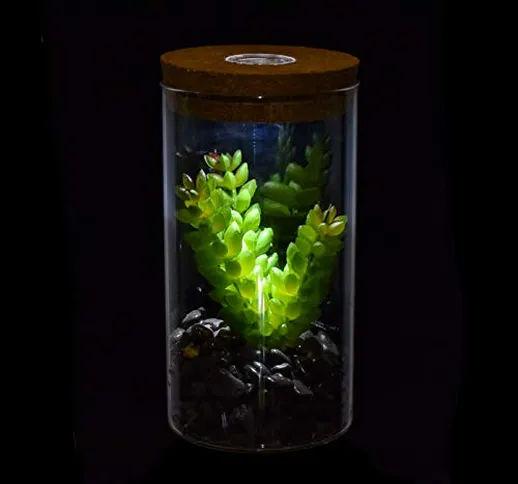 Piante Artificiali in Vaso con Luce a LED,Cactus Succulento Finto in Vetro Terrarium Vasi...