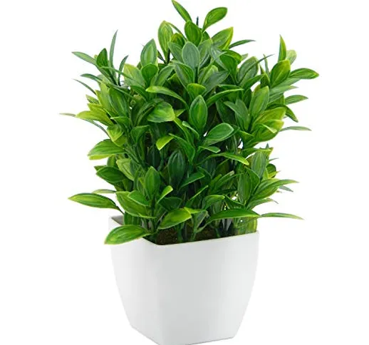 OFFIDIX Piante Artificiali Mini Eucalyptus in plastica con Vaso Quadrato per scrivania, Pi...