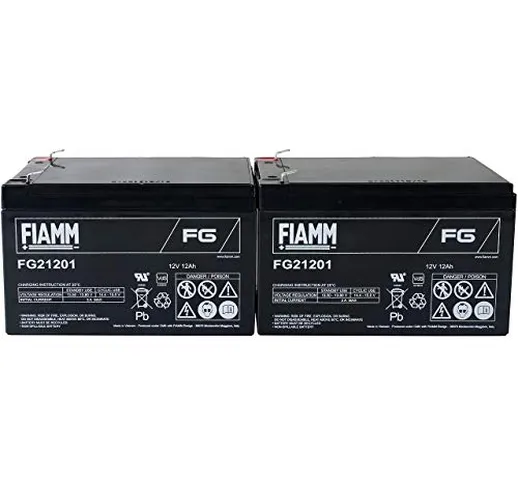 Batteria di ricambio FIAMM per: APC Smart-UPS 1000VA