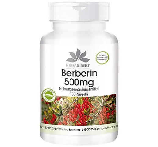 Berberina HCl 500mg + Zinco - altamente dosata - vegana - 180 capsule