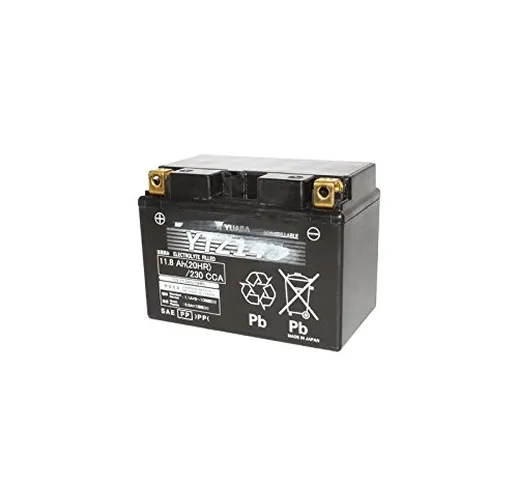 BATTERIA 12V -11,8Ah YTZ14S YUASA SENZA MANUTENZIONE GEL PRONTO ALL USO (Lg150xL87xH110)