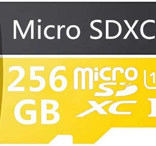 Micro SD Card 400GB Alta Velocità Classe 10 Micro SD SDXC Card con adattatore 256 GB.