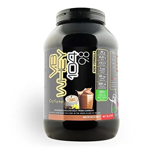 VB WHEY 104 9.8 (900g) Proteine isolate idrolizzate (GUSTO Mokaccino) - NET Integratori