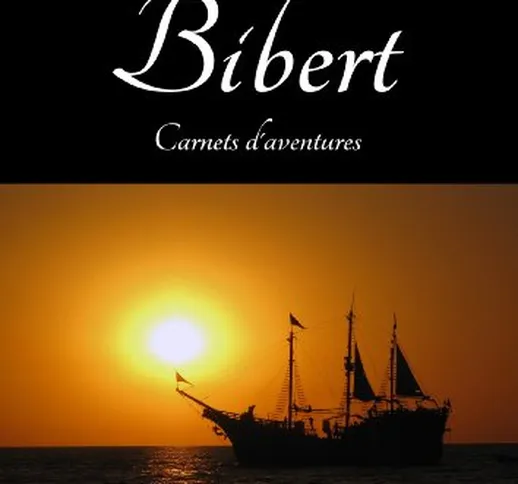 Bibert: Carnets d'aventures (French Edition)