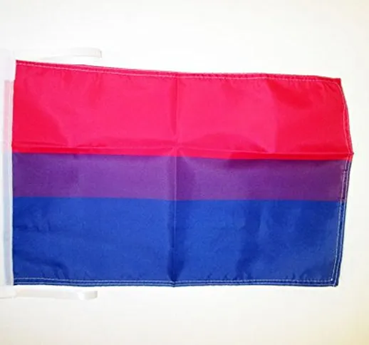 AZ FLAG Bandiera Arcobaleno BISESSUALE 45x30cm - BANDIERINA BISESSUALITÀ – Rainbow Flag 30...