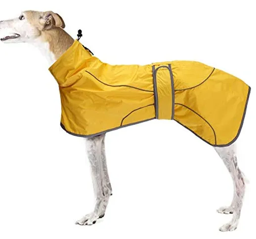 Hailiang Greyhound Dog Raincoat con Barra riflessiva, Abbigliamento per Cani all'aperto co...