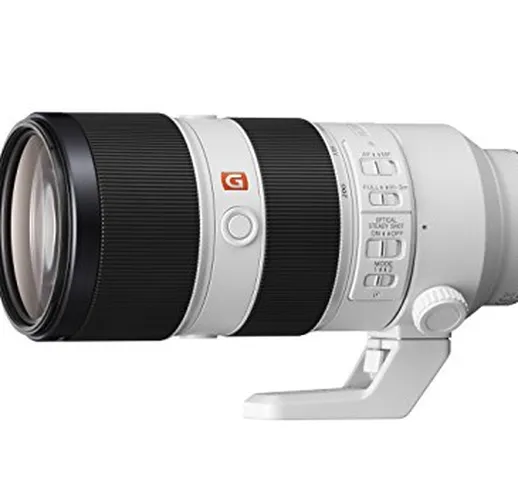 Sony FE 70 – 200 mm f/2.8 GM Oss Lens