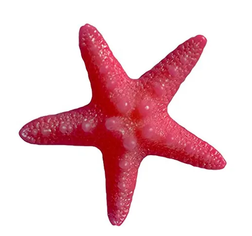 Brussels 08 5 pezzi in resina stella marina ornamento colorato spiaggia oceano stella pesc...