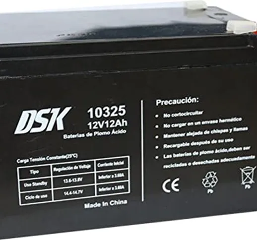 DSK Batteria al piombo 12V 12Ah, ideale per allarmi domestici, giocattoli elettrici, recin...