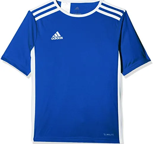 adidas Entrada 18 JSY Teamtrikot, Maglietta Bambino, Blu (Bold Blue/White), 13-14 anni