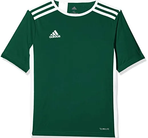adidas Entrada 18 JSY Teamtrikot, T-Shirt Bambino, Verde (Collegiate Green/White), 13-14 a...