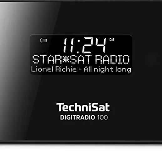 Technisat Adattatore digitale radio DIGITRADIO 100 per l'estensione di sistemi hi-fi e ric...