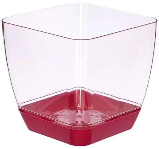 Favilla - Vaso Quadrato per Orchidee, in plastica, Effetto Acrilico, Sottovaso Rosso – Vas...