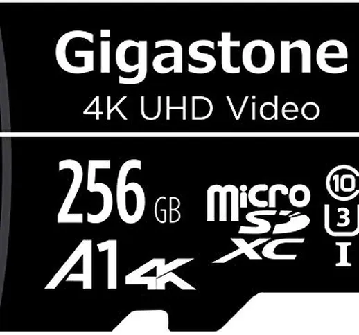Gigastone Scheda di Memoria Micro SDXC da 256 GB con Adattatore SD, A1 U3 4K, Fino a 100 M...