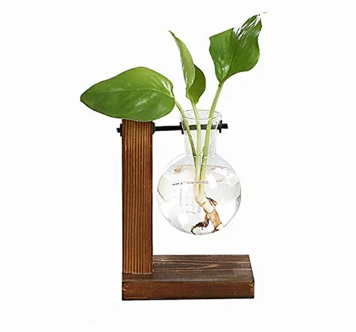 LACKINGONE Vaso idroponico da appendere, in vetro, con supporto in legno