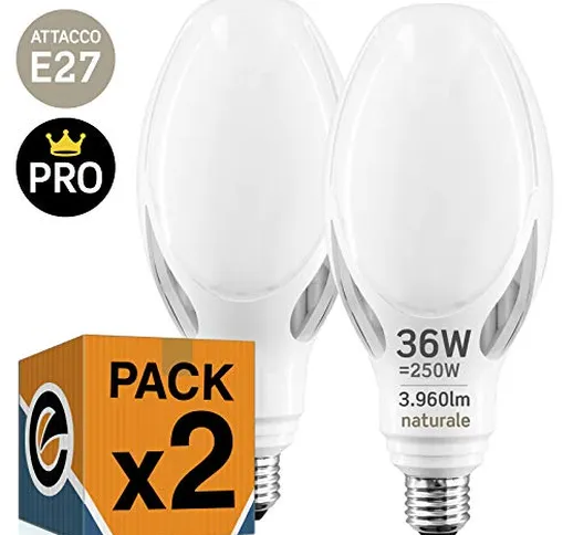 2 x Lampadine LED E27 36W Professionali Garanzia 5 anni Opaca (3960 lumen equivalenti a 25...