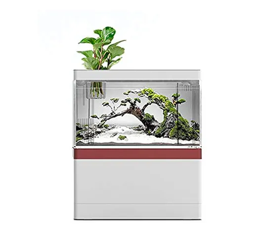 TANERDD Piccolo Acquario Piccolo Acquario Creativo per Desktop Cilindro Ecologico con Pacc...