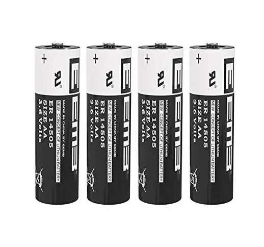 Batteria al litio ER14505 Li-SOCL₂ 2600 mAh batteria al litio di dimensione di V AA EEMB 3...