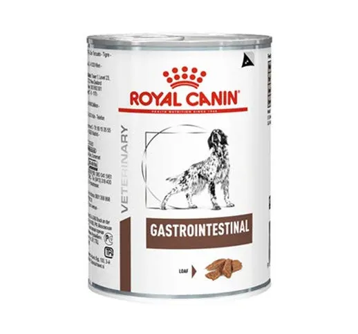 umido 6 scatolette Royal canin Gastro intestinal 400 gr Veterinary Diet Cibo Cani con dist...