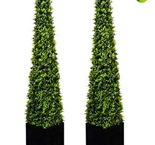 Greenbrokers Limited Boxwood Topiary Pyramid Trees in Black Square Planter 2 x Alberi Arti...