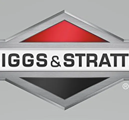 GENUINE BRIGGS & Stratton - Blocco albero 802613