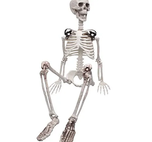 XONOR Scheletro del corpo umano intero per Halloween, con articolazioni mobili, 90 cm, dec...