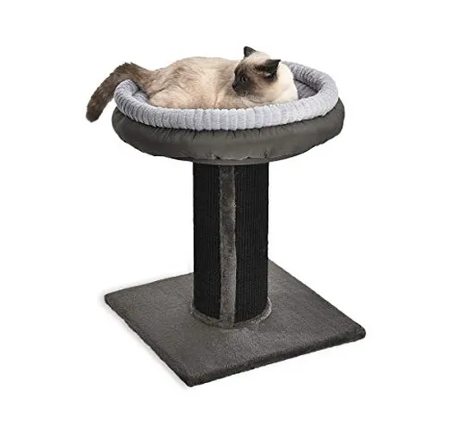 Amazon Basics - Albero per gatti XL con palo tiragraffi, torre e letto, 48,26 x 48,26 x 66...