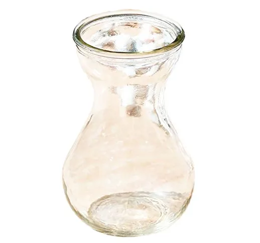 Weimay vetro vaso giacinto idroponica vaso in vetro piccolo vaso per piante in vaso per ho...