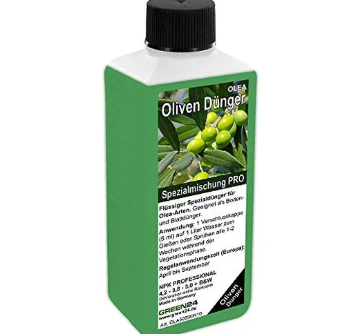 Green 24 - Fertilizzante per Olivi, High-Tech Olea Npk, per Piante in Aiuola O in Vaso