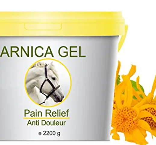 Gel naturale per gli arti del cavallo a base di Arnica Montana 90% 2200g- Gel all Arnica 1...