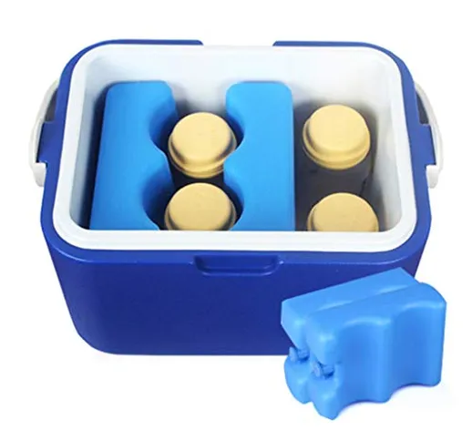 Insulin cooler Scatola Frigo Deluxe A Doppio Scomparto Isolata Blu Mobile Piccolo Frigorif...