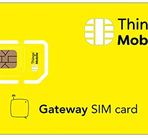 SIM Card per GATEWAY Things Mobile con copertura globale e rete multi-operatore GSM/2G/3G/...