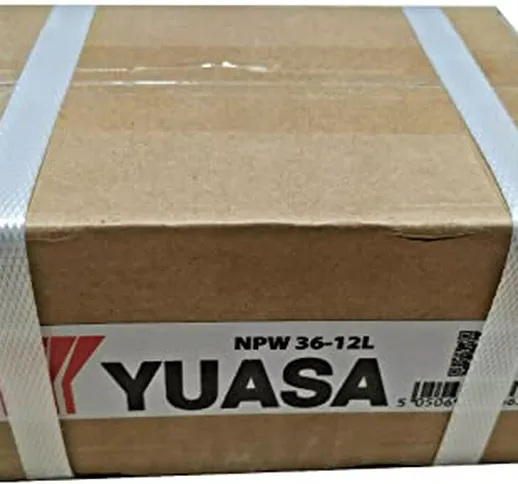 Batteria al piombo per UPS 12V-7Ah. YUASA NPW36-12