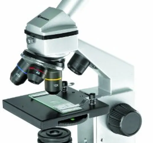 Microscopio Bresser Junior Biolux CA 40x-1024x